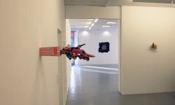 HE WHO MAKES BEAST OF HIMSELF_______installation view / 2011 / Charlotte Moser Gallery Geneva Switzerland
