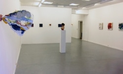 HE WHO MAKES BEAST OF HIMSELF_______installation view / 2011 / Charlotte Moser Gallery Geneva Switzerland