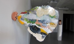 VOMITTING BETWEEN THE WALLS_______plastic, rubber / 42 x 52 x 7 cm / 2011