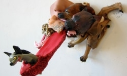 HAIR OF THE DOG THAT BIT YOU_______plastic, rubber /16 x 16 x 20 cm / 2011