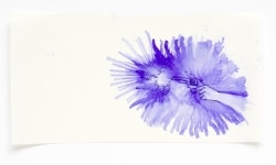 026_____mimeograph carbon, alcohol,  on paper