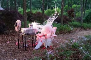 BEATEN TO A PULP ON THE BED OF MOSS