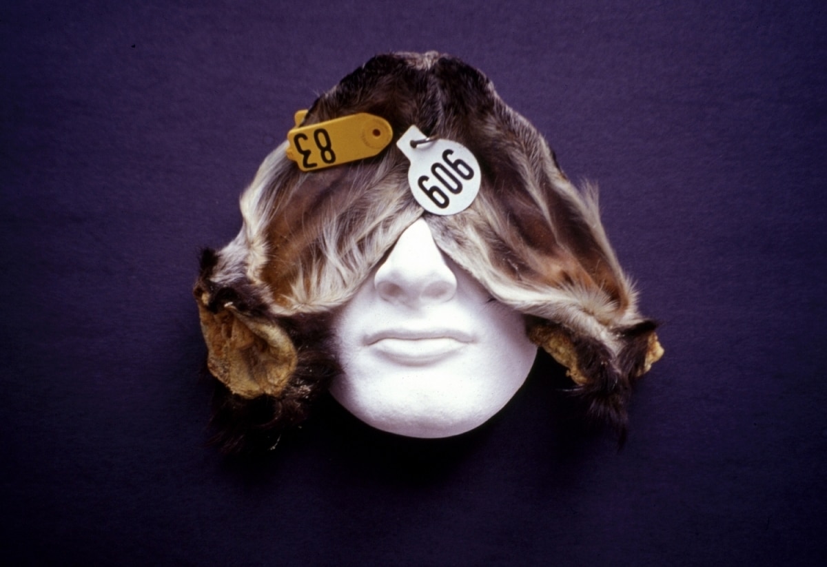 YOU SEE FOR ME AND I WILL HEAR FOR YOU_______plaster, dried goat's ears / 1999