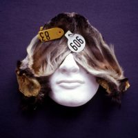 YOU SEE FOR ME AND I WILL HEAR FOR YOU_______plaster, dried goat's ears / 1999