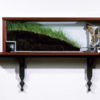 WALKING THROUGH A FIELDLAND_______dried goat foot and ear, earth, motor / 61X117 cm / 1989