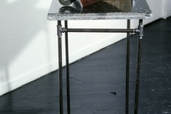 BUTTERFLY COLLECTION_______pig eyelids, mothballs / 56x42 cm / 1989