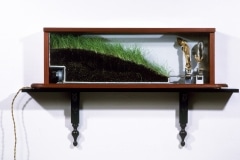 WALKING THROUGH A FIELDLAND_______dried goat foot and ear, earth, motor / 61X117 cm / 1989