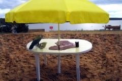 ZAMNEM_______table, pumping chocolate, stuffed crow, newspaper / ART KLJAZMA FESTIVAL Russia/ 2004