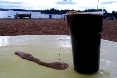 ZAMNEM_______table, pumping chocolate, stuffed crow, newspaper / ART KLJAZMA FESTIVAL Russia/ 2004