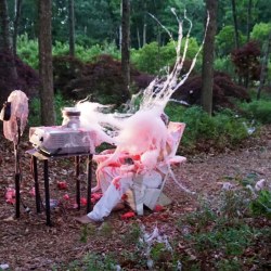 BEATEN to a PULP on a BED of MOSS | performance | 2017