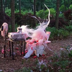 BEATEN to a PULP on a BED of MOSS | performance | 2017