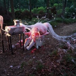 BEATEN to a PULP on a BED of MOSS | performance | 2017