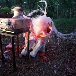 BEATEN to a PULP on a BED of MOSS | performance | 2017