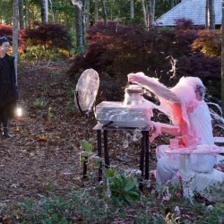 BEATEN to a PULP on a BED of MOSS | performance | 2017