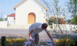 BANDAGED_______performance, cotton candy machine / 1995 / San Ygnacio Texas