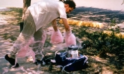 BANDAGED_______performance, cotton candy machine / 1995 / San Ygnacio Texas