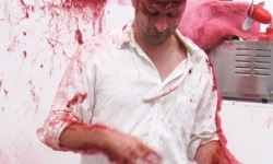 SLAPPED IN THE FACE TILL YOUR SHIT TURNS RED_______performance, cotton candy machine/ 2009 / CAN, Centre d'Art Neuchâtel, Switzerland