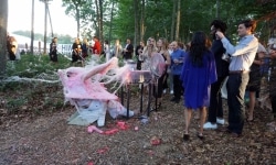 BEATEN to a PULP on a BED of MOSS | performance | 2017