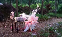 BEATEN to a PULP on a BED of MOSS | performance | 2017