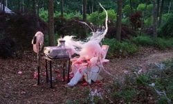BEATEN to a PULP on a BED of MOSS | performance | 2017