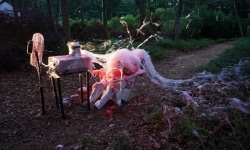BEATEN to a PULP on a BED of MOSS | performance | 2017