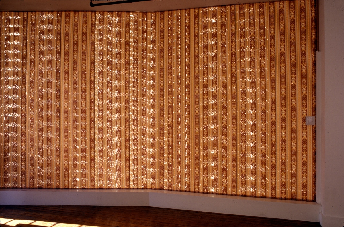 TOPOGRAPHICAL STUDY OF A GUNSHOT BLAST TO THE MOUTH_______wallpaper perforated with shotgun while still rolled up / 350X 250cm / 2001