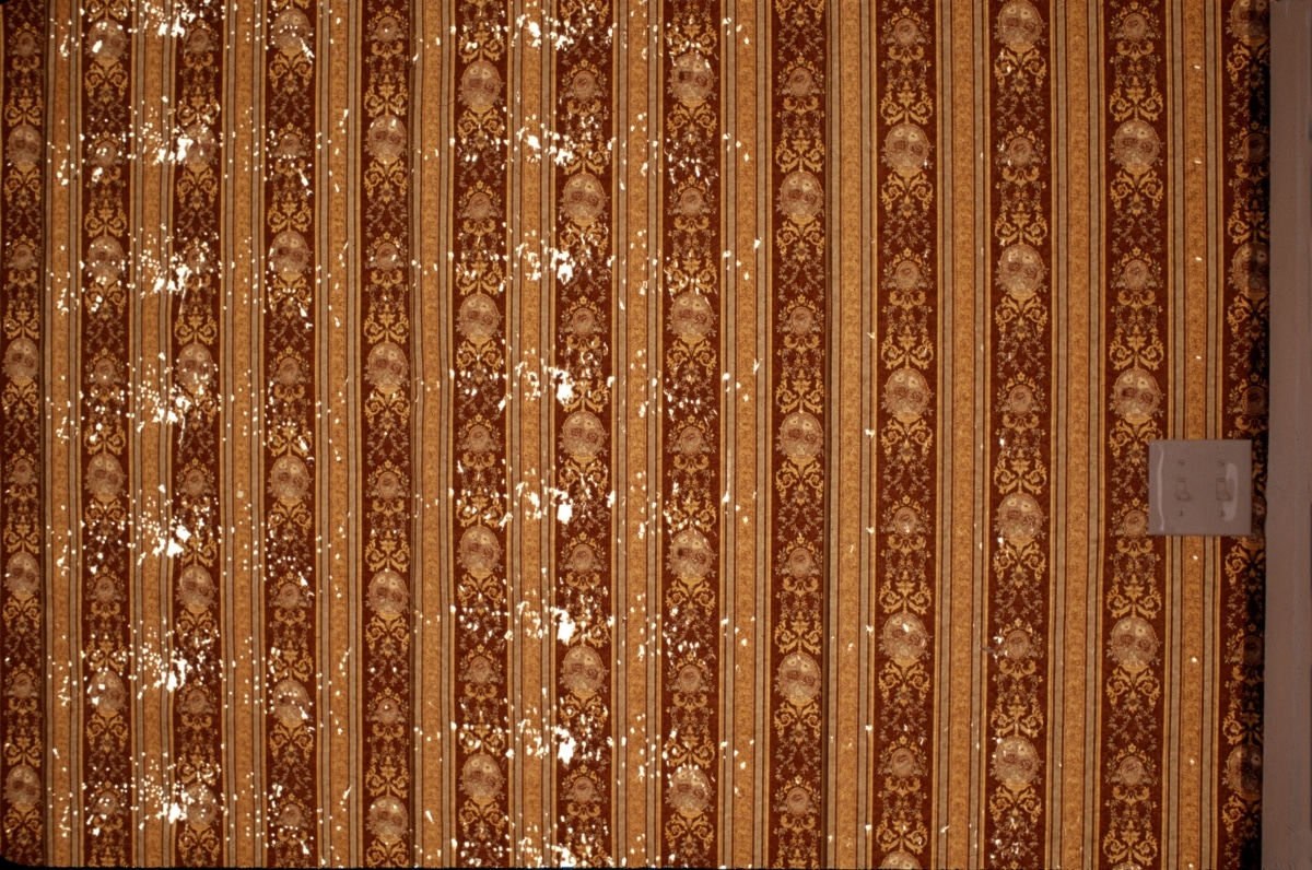 TOPOGRAPHICAL STUDY OF A GUNSHOT BLAST TO THE MOUTH_______wallpaper perforated with shotgun while still rolled up / 350X 250cm / 2001