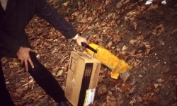 33 THINGS TO STOP A BULLET_______stacked gloves fired upon point blank with a shotgun, the shot terminated on 33-rd glove /1998