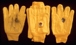 33 THINGS TO STOP A BULLET_______stacked gloves fired upon point blank with a shotgun, the shot terminated on 33-rd glove /1998