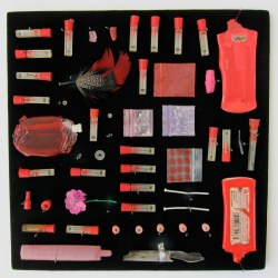 MOTH COLLECTION_______debris from heroin and crack use / various sizes / 2011