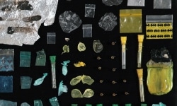 MOTH COLLECTION_______debris from heroin and crack use / various sizes / 2011
