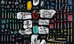 MOTH COLLECTION_______debris from heroin and crack use / various sizes / 2011