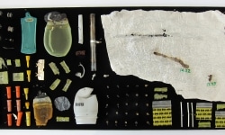 MOTH COLLECTION_______debris from heroin and crack use / various sizes / 2011