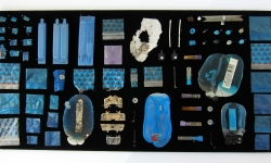 MOTH COLLECTION_______debris from heroin and crack use / various sizes / 2011