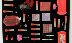 MOTH COLLECTION_______debris from heroin and crack use / various sizes / 2011