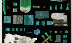 MOTH COLLECTION_______debris from heroin and crack use / various sizes / 2011