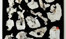 MOTH COLLECTION_______debris from heroin and crack use / various sizes / 2011