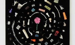 MOTH COLLECTION_______debris from heroin and crack use / various sizes / 2011