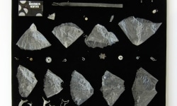 MOTH COLLECTION_______debris from heroin and crack use / various sizes / 2011