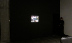 MOTH COLLECTION / installation view / MONA museum TAsmania Australia