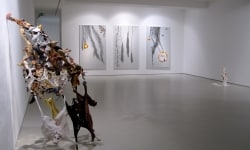 IN PILLS WE TRUST_______installation view Orel Art UK London / 2010