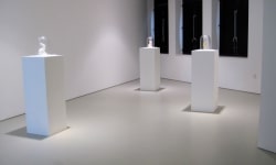installaition view