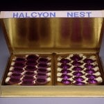 HALCYON NEST. MORGUE CHOCOLATES_______eyes cast in dark chocolate / 1994