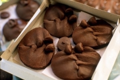 MORGUE CHOCOLATES_______installation in information kiosk / Moscow Russia 1993