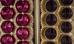 HALCYON NEST. MORGUE CHOCOLATES _______open eyes