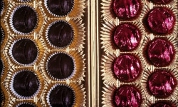 HALCYON NEST. MORGUE CHOCOLATES _______closed eyes