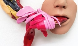 SWEET TOOTH / 53X26X15cm / mixed media, plastic / 2011-2018/ Detail