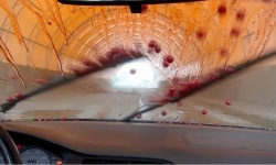 SUNDAE DRIVE / video projection / 3 min