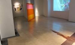 installation view TRAVELING IDIOT