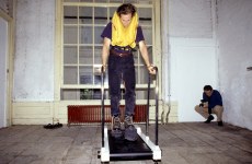 REPEATED BLOWS EVENTUALLY DRIVES ALL ANIMALS TO PASTURE_______Life-jacket, shoes, flamingo leg candles / Fodor Museum Amsterdam The Netherlands / 1992